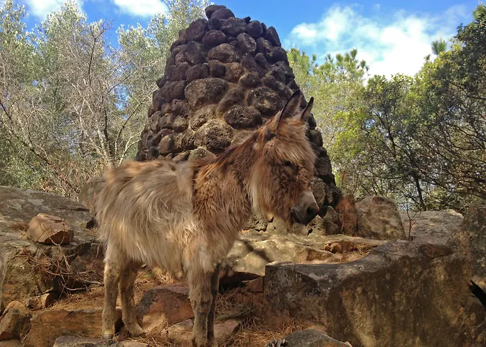 Resort Park - Borgo Cala Moresca Arbatax