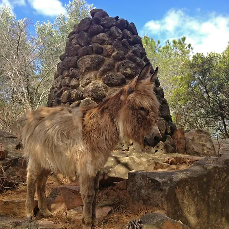 Resort Park - Borgo Cala Moresca Arbatax
